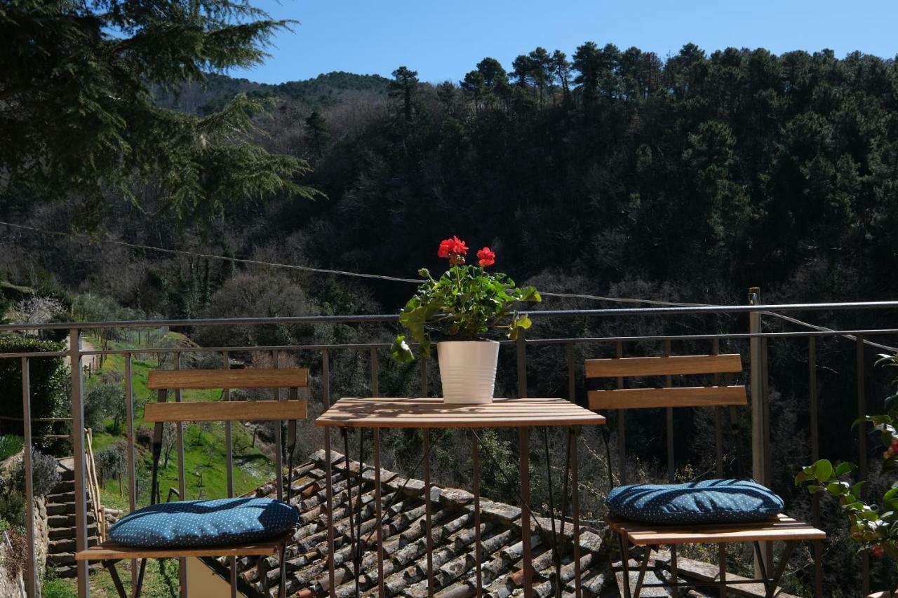 B&B Panoramic Greve in Chianti Εξωτερικό φωτογραφία